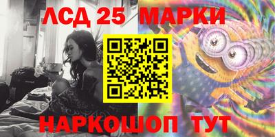 apvp Гатчина