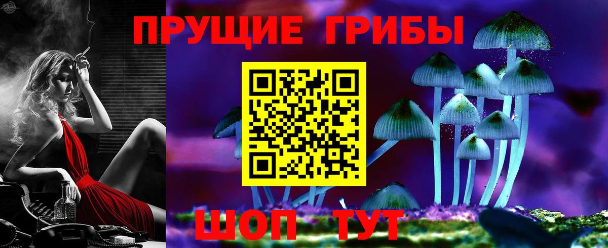Жигулёвск  Галлюциногенные грибы мухоморы  Псилоцибиновые грибы Cubensis  Вход с VPN 